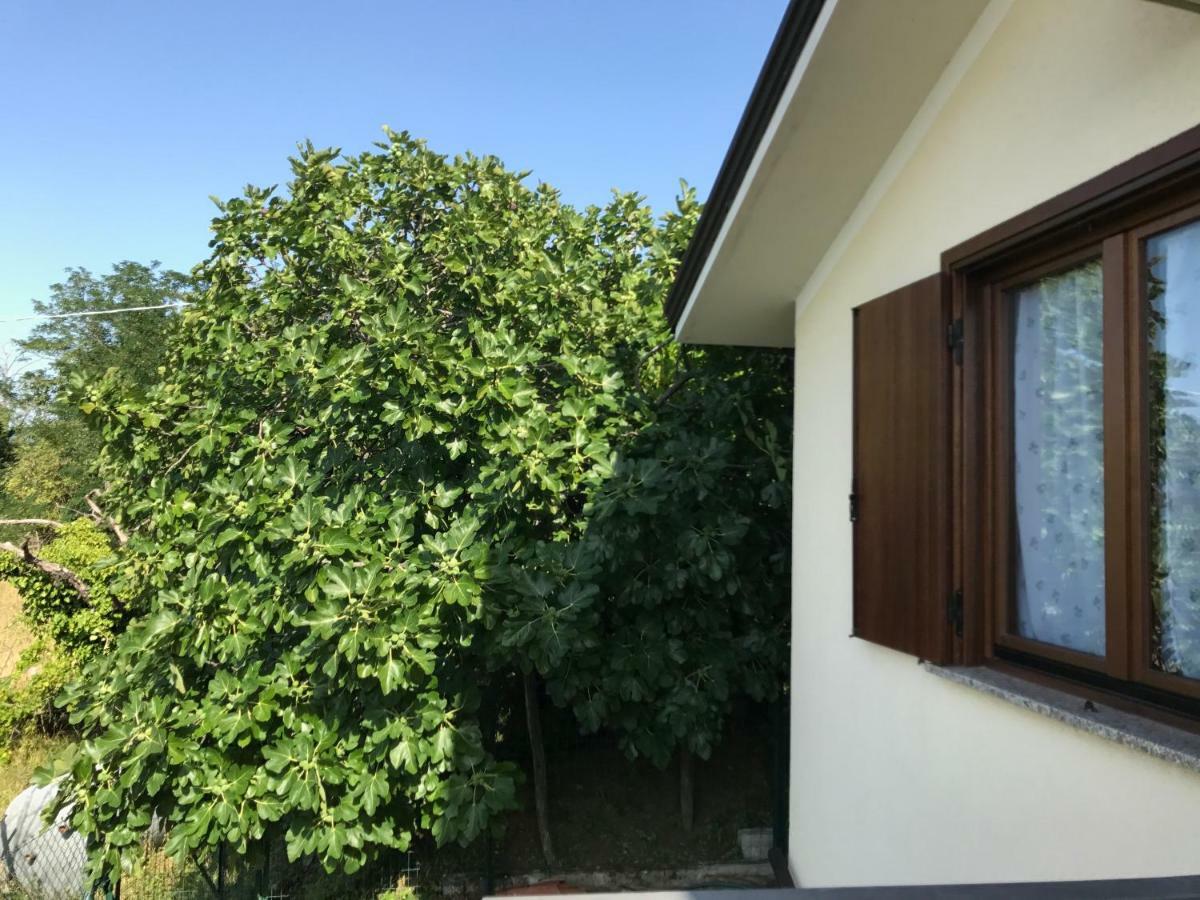 La Casa Di Nonna Bruna Muggia Bagian luar foto