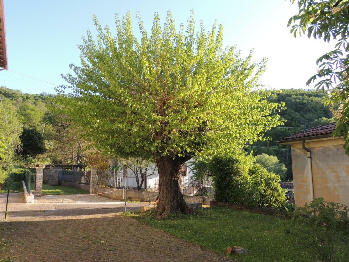 La Casa Di Nonna Bruna Muggia Bagian luar foto