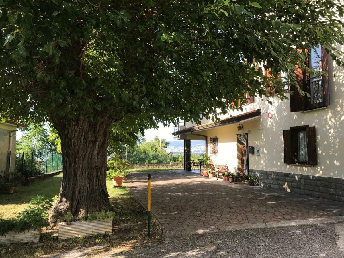 La Casa Di Nonna Bruna Muggia Bagian luar foto